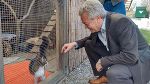 LR Anton Lang fördert das neue Katzenfreigehege im Tierheim Franziskus. © Land Steiermark
